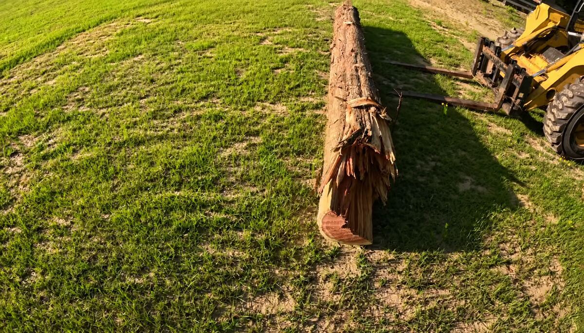 Broken cedar log positioned in an open field beside a loader before being placed on the sawmill.