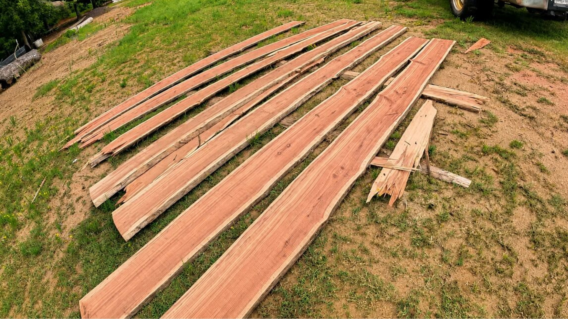 Freshly sawn natural-edge cedar lumber laid out after being cut on a portable sawmill.