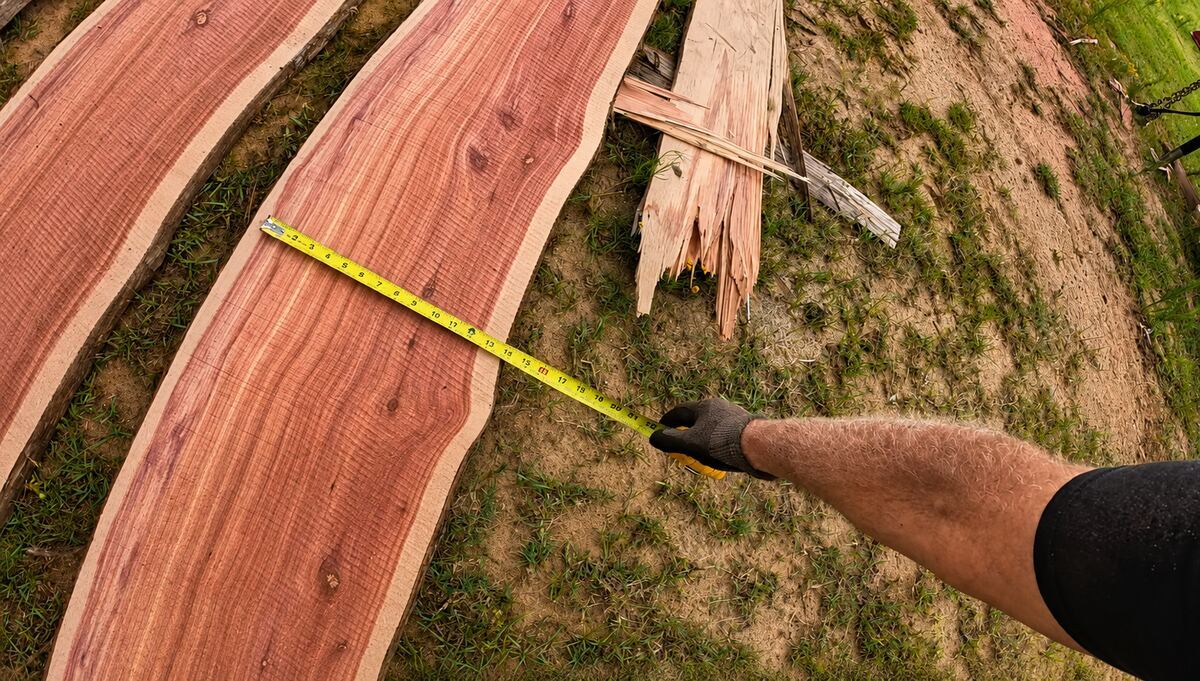 Measuring the width of a freshly sawn natural-edge cedar board after milling the damaged log.